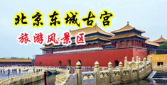 AA黄片美女和狗操逼中国北京-东城古宫旅游风景区